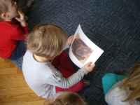 Zdjęcie robione zza pleców dziecka, które siedzi na podłodze i ogląda zdjęcie kakaowca.