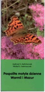 Okładka książki: Pospolite motyle dzienne Warmii i Mazur