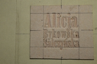 Na zdjciu makieta okadki publikacji, na niej widoczny napis: Alicja Bykowska-Salczyska