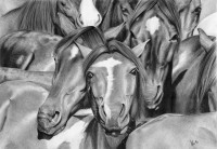Rysunek Magdaleny Muraszko-Kowalskiej przedstawiajcy konie 