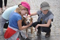 Dzieci gaszcz psa Romka z olsztyskiego schroniska
