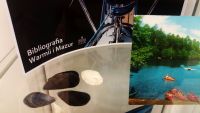 Cz ekspozycji eglarskiej: dwie kolorowe pocztwki z aglowcami, kolorowa pocztwka z pla jeziorn, kolorowa pocztwka z pomostem na jezierze oraz ksika kapitana Tomasza Cichockiego „Zew oceanu”.