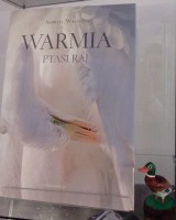 Fragment wystawy w witrynie: okadka ksiki Andrzeja Waszczuka „Warmia. Ptasi raj” z gow biaej czapli oraz drewniana kolorowa figurka stojcej kaczki. 