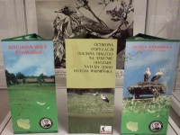 Fragment wystawy w witrynie: czarno-biae zdjcie przedstawiajce ptaka karmicego piskl oraz trzy kolorowe foldery promujce Bociani Wiosk - ywkowo oraz informujce o populacji bociana w Polsce. 
