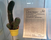 Wyeksponowany na przezroczystej podstawce numer „Rezonansu” - Pisma NSZZ „Solidarno” obok za w tej glinianej doniczce 3 podune odygi kaktusa z drobnymi cierniami zgrupowanymi w regularnych koncentrycznych kpkach.
