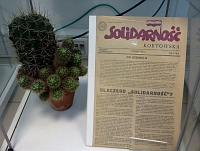 Fragment wystawy w witrynie: wyeksponowany na przezroczystej podstawce numer „Solidarnoci Kortowskiej” obok za w glinianej doniczce poduny wikszy kaktusa wraz z mniejszymi odnkami.
