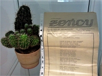 Fragment wystawy w witrynie: wyeksponowany na przezroczystej podstawce numer „ecw. Periodyku NSZZ >Solidarno<”  obok za w glinianej doniczce kaktus zoony z okrgych odroli.