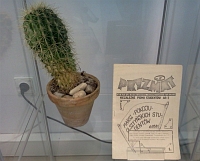 Fragment wystawy w witrynie: wyeksponowany na przezroczystej podstawce numer „Pryzmatu”, czasopisma studentw ART w Olsztynie, obok za w glinianej doniczce pojedynczy, do duy kaktus.